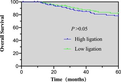 High and low inferior mesenteric artery ligation in laparoscopic low anterior rectal resections: A retrospective study
